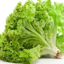 41e187c7-a3b7-4354-a4d4-ef18781c803e