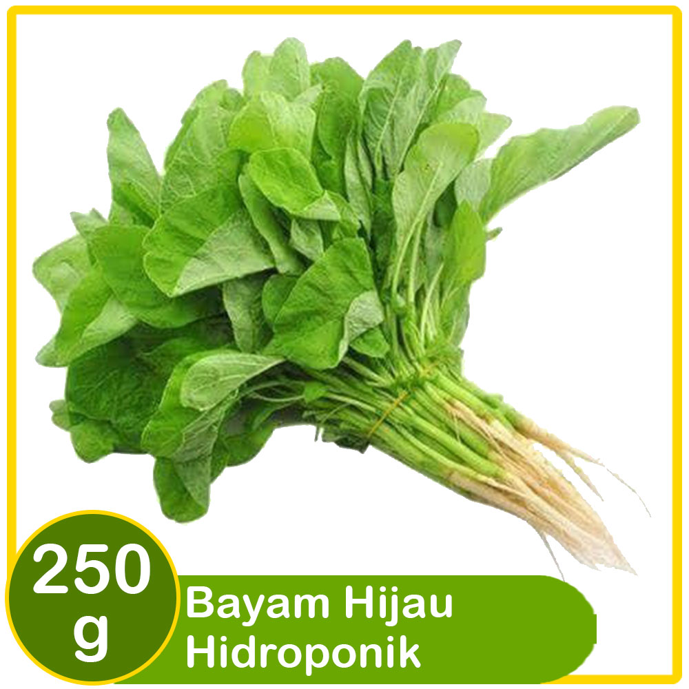 Bayam Hijau Hidroponik 250 gram