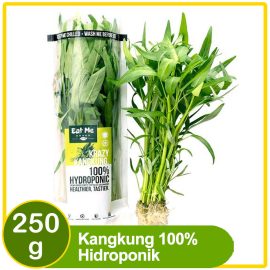 kangkung-hidro