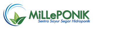 Sentra Sayur Segara Hidroponik MiLLePONIK