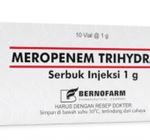 finfeng_Meropenem Trihydrate Serbuk Injeksi 1 g