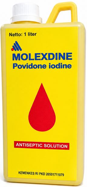 finfeng_Molexdine Antiseptic Solution 1 Liter