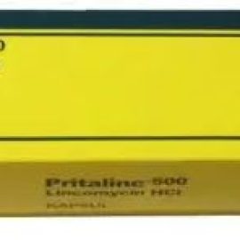 finfeng_Pritalinc 500 kapsul