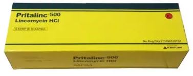 finfeng_Pritalinc 500 kapsul