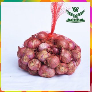 bawang merah