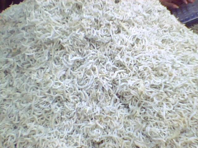 ikanterimedan