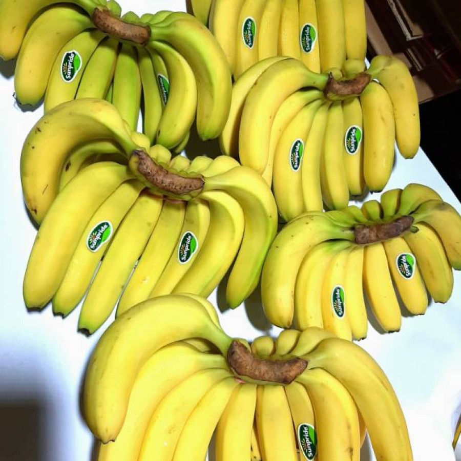 pisang ambon