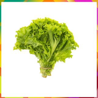 salada