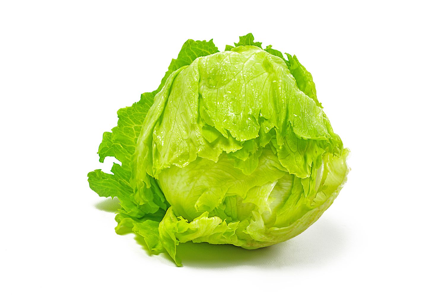 Lettuce Lettuce