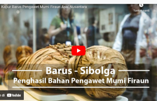 Kapur Barus Pengawet Mumi Firaun Asal Nusantara | Finroll TV