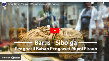 Kapur Barus Pengawet Mumi Firaun Asal Nusantara | Finroll TV
