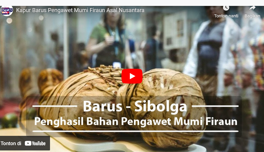 Kapur Barus Pengawet Mumi Firaun Asal Nusantara | Finroll TV