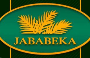 Jababeka Video Company Profile