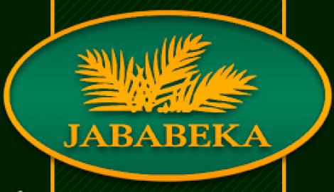 Jababeka Video Company Profile
