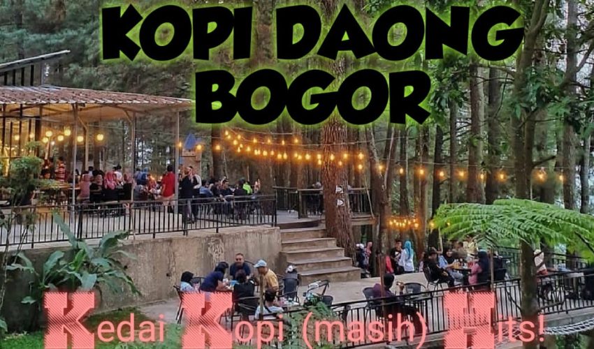 KOPI DAONG