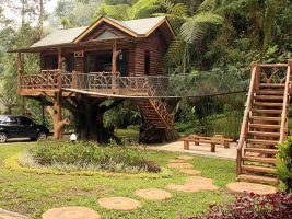 Rumah Pohon Taman Safari Bogor