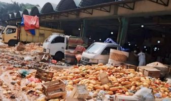 Harga Pepaya Anjlok, Puluhan Ton Pepaya Dibuang Pedagang di Kramat Jati