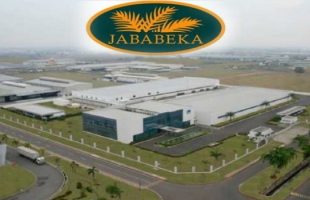Jababeka Industrial Estate Company Profile