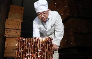 PETERNAKAN KECOA RAKSASA CHINA MENJADI NOMOR 1 DIDUNIA