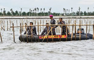 TNI AL Terjunkan 3 Unit Tank Amfibi Bongkar Pagar Laut Tangerang