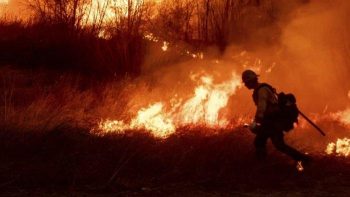 Usai Los Angeles Kini New York Kebakaran Hutan