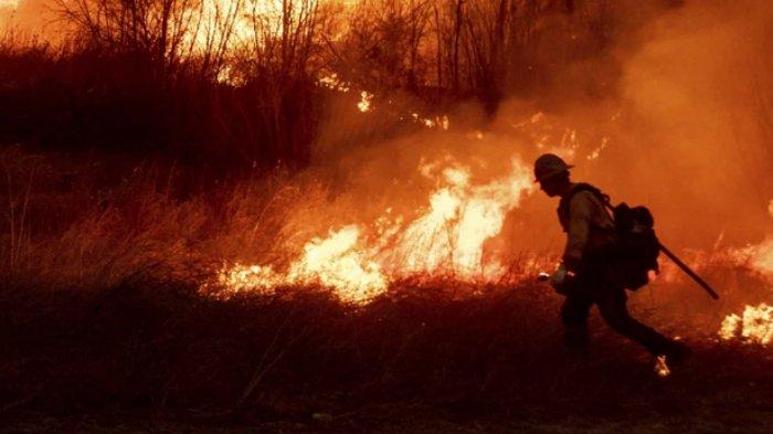Usai Los Angeles Kini New York Kebakaran Hutan