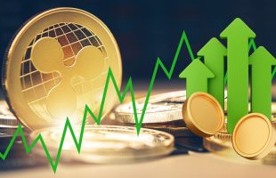 Volume Perdagangan Spot XRP Sentuh 50%, Melampaui Solana.