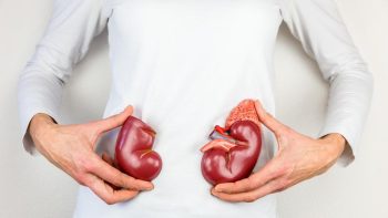 Tips Ampuh Bersihkan Ginjal agar Tetap Sehat
