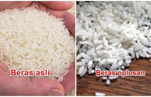 Mau Tahu Beras Oplosan Atau Palsu, Kenali Ciri-Cirinya