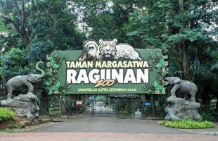 Wacana Taman Margasatwa Ragunan Buka Malam Hari