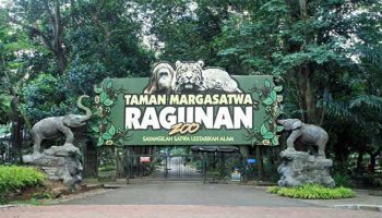 Wacana Taman Margasatwa Ragunan Buka Malam Hari