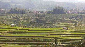 Dua Desa Di Bogor Dijadikan Agunan Bank Dan Akan Dilelang