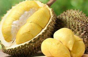 Pemerintah Malaysia Diminta Tetapkan Durian Menjadi Buah Nasional