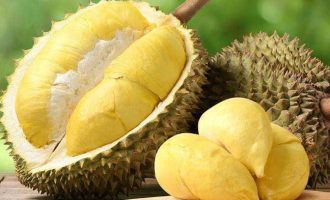 Pemerintah Malaysia Diminta Tetapkan Durian Menjadi Buah Nasional